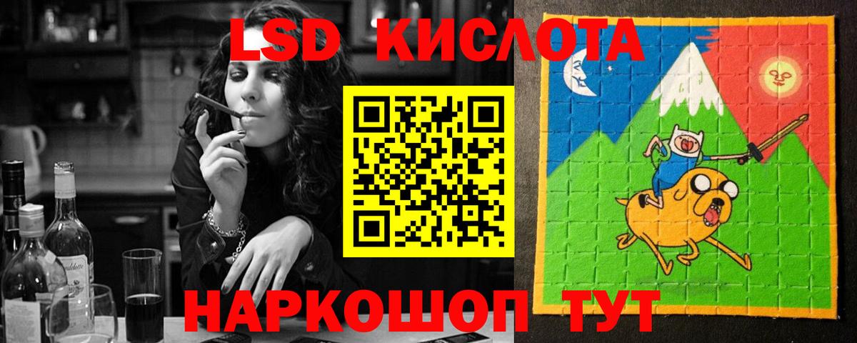 МЕФ Балтийск